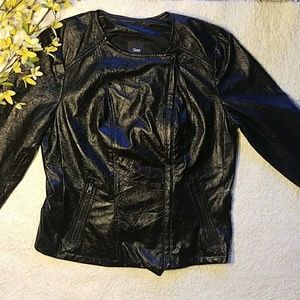 Polyester jacket